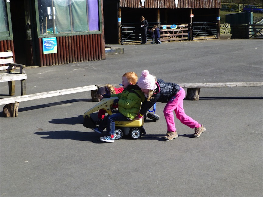 P1010721.jpg